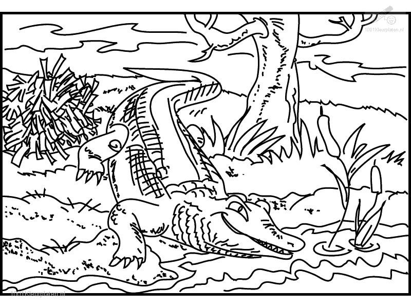 crocodile animals coloring pages : Printable Coloring Sheet ~ Anbu 