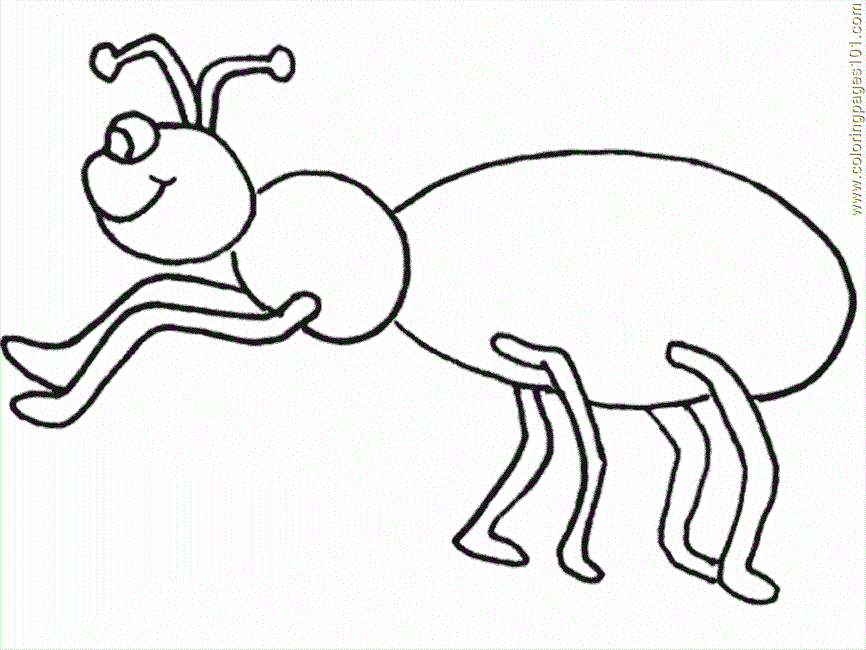 Coloring Pages Ants (Insects > Ants) - free printable coloring 