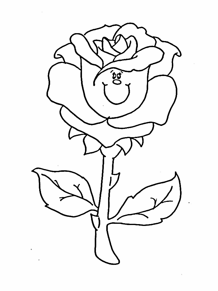 rose flowers coloring pages book