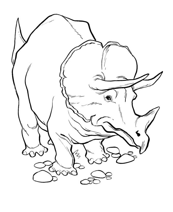 Triceratops Coloring Pages | Dinosaurs Pictures and Facts