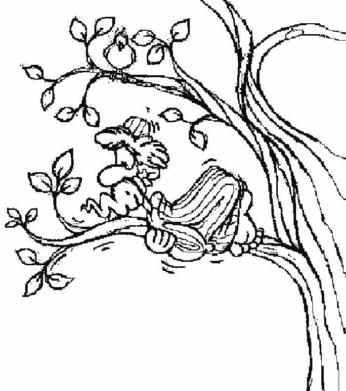 Best Coloring Page Zacchaeus | Free coloring pages