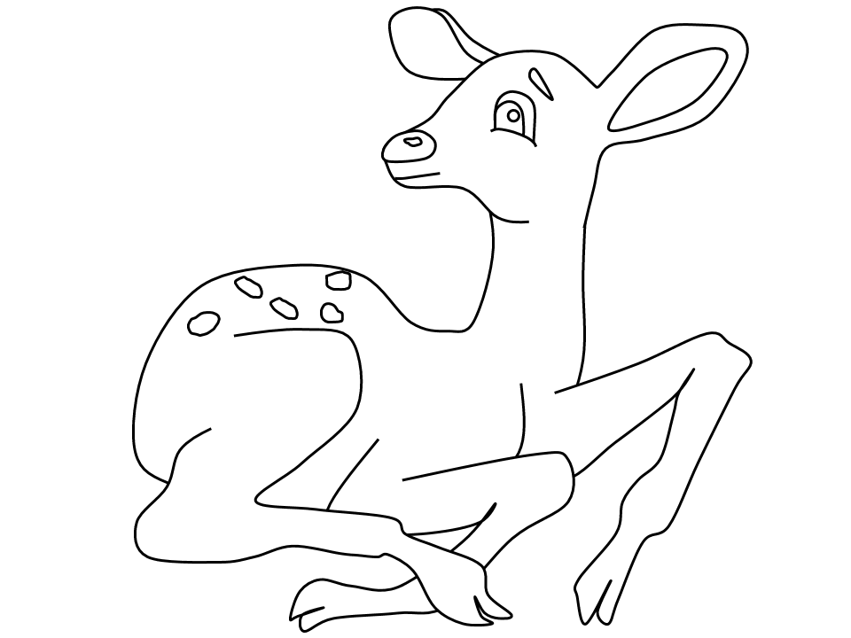 animals coloring pages deer - Quoteko.