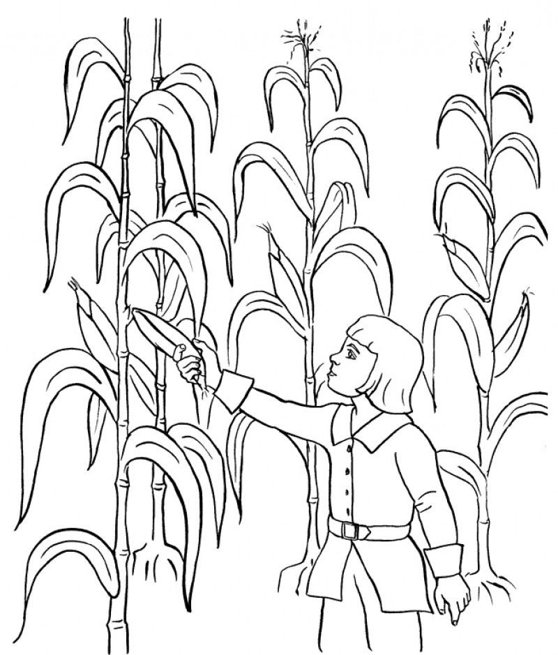 Thanksgiving For The Harvest Rate In Abounds Coloring Page - Kids 