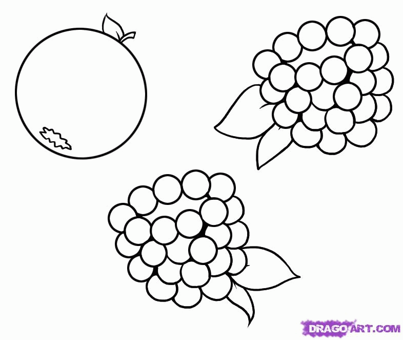 How to Draw Berries, Step by Step, Food, Pop Culture, FREE Online 