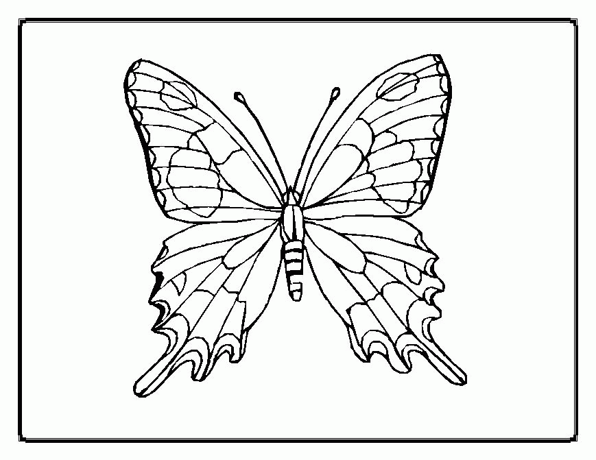 animal coloring butterfly coloring pages beautiful