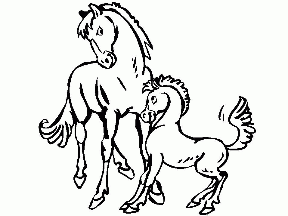 coloring pages of horses and ponies : Printable Coloring Sheet 