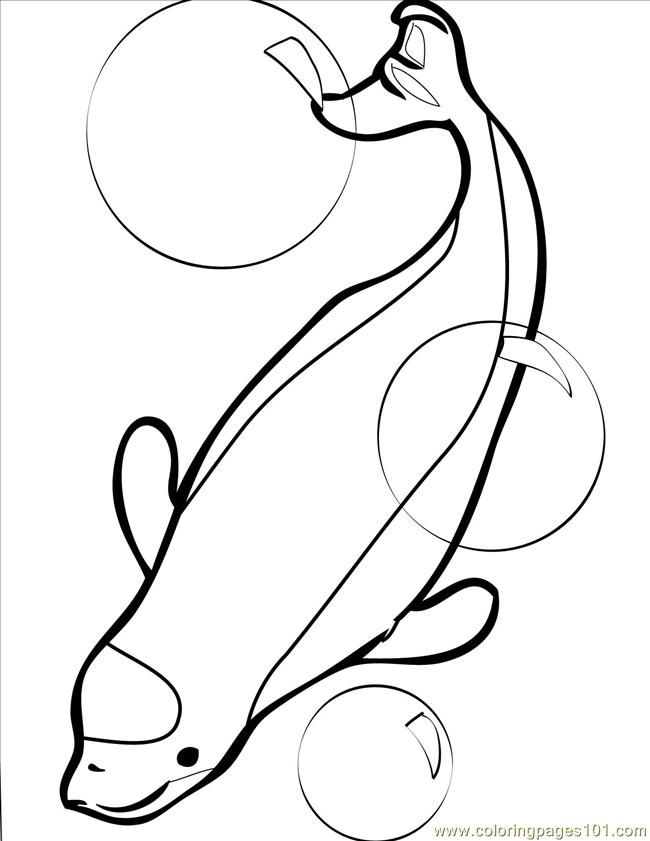 Coloring Pages Beluga Whale Ink (Mammals > Whale) - free printable 