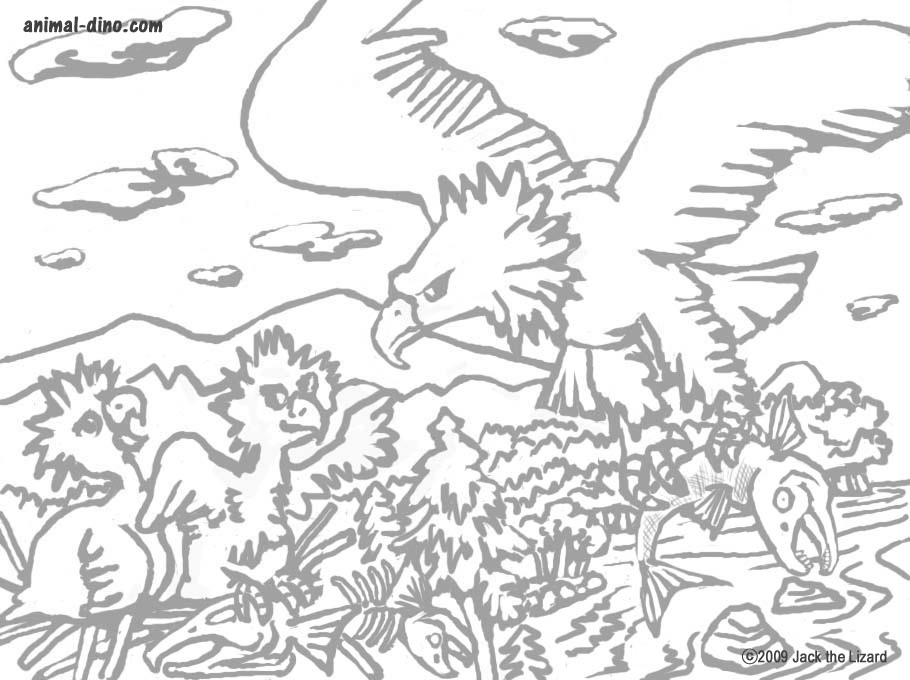 Animal Coloring Page (Bald Eagle) Print Size - Jack the Lizared 