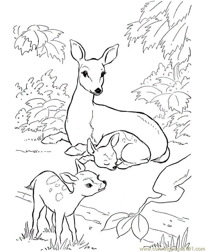 Coloring Pages Deer with son (Mammals > Deer) - free printable 