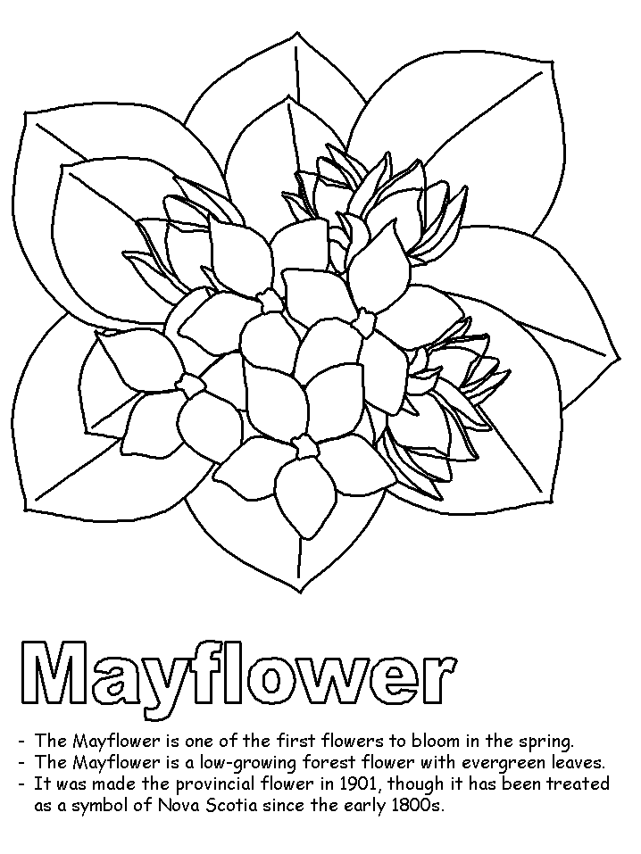 Mayflower coloring page