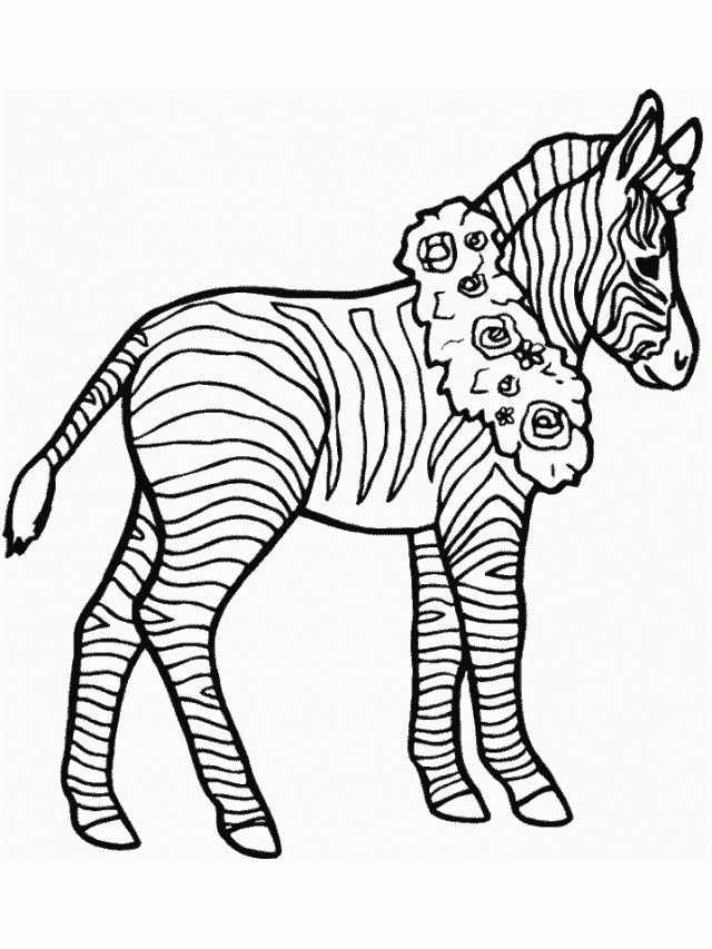 Zebra Coloring Pages For Kids - Coloring Home