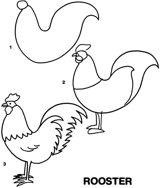 Rooster drawing.. | Rooster