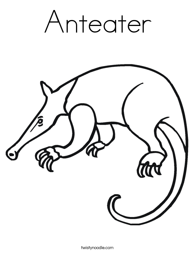 Giant Anteater Coloring Pages - Kids Colouring Pages