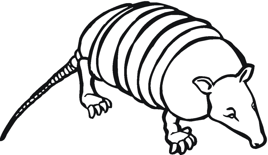 Free Armadillo Coloring sheet | Coloring Pages