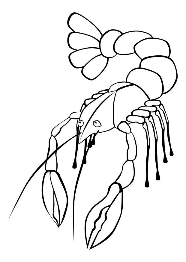 Coloring page lobster - img 10171.