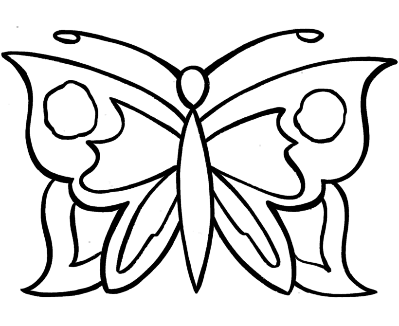 Butterfly Outline Coloring Page Animal Outlines Tattoo
