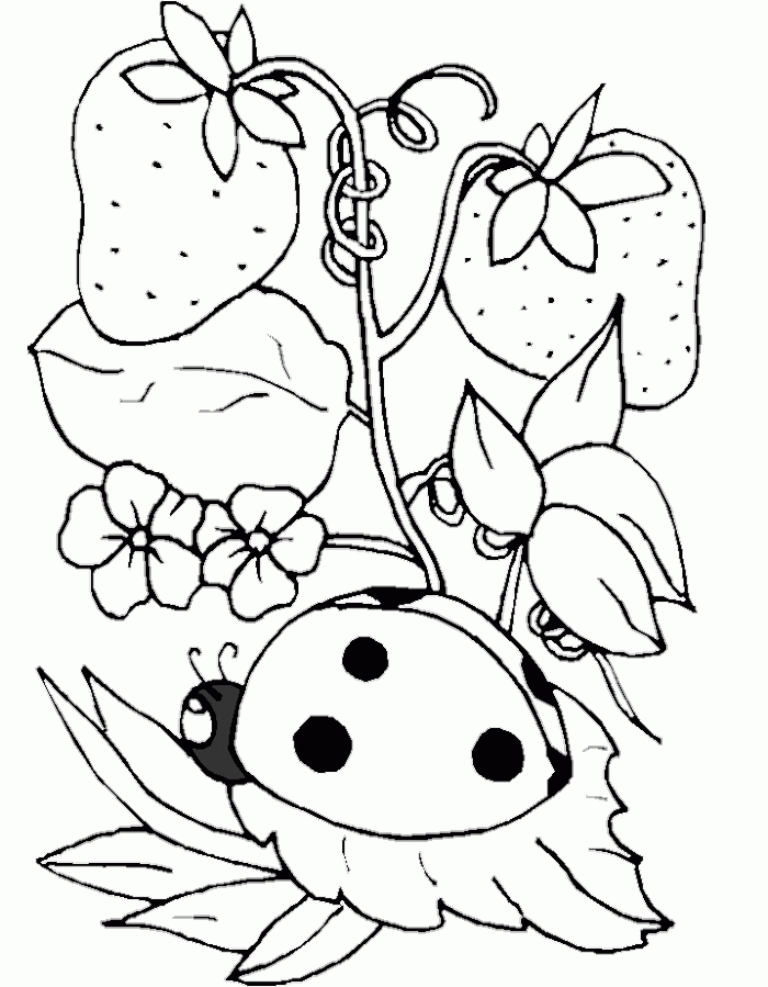 strawberry tree Colouring Pages