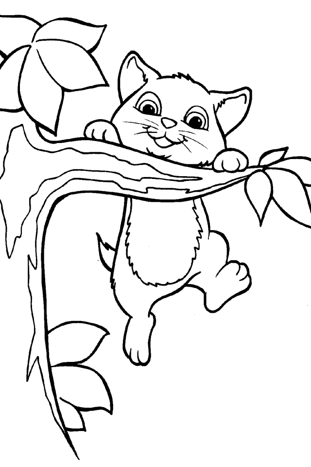 cat Coloring page | download free printable coloring pages