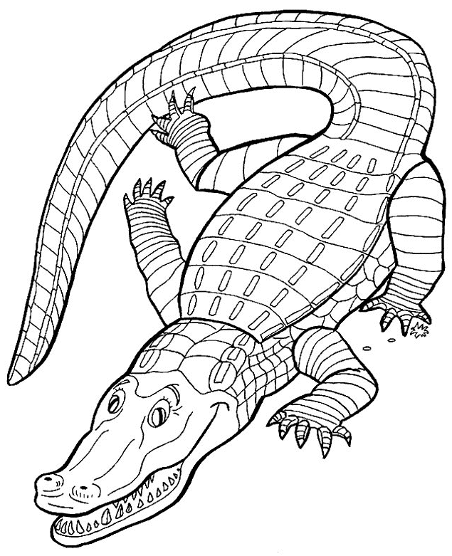 Download Crocodile Pictures To Print Coloring Home