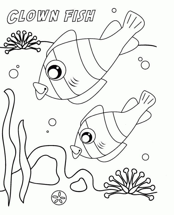 Sea Life Coloring Page : Printable Coloring Book Sheet Online for 