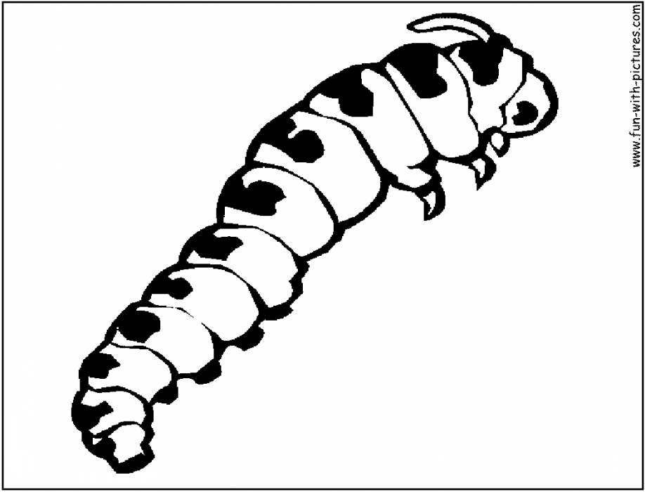 Caterpillar Coloring Pages For Kids | 99coloring.com