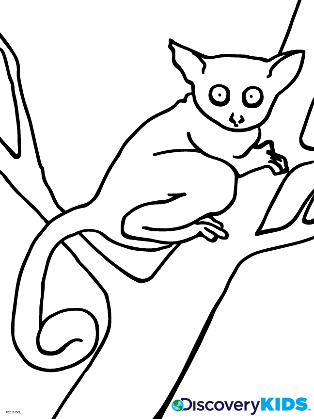 Busy Baby Coloring Page | Discovery Kids