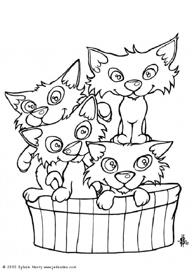 CAT coloring pages - Cat's basket