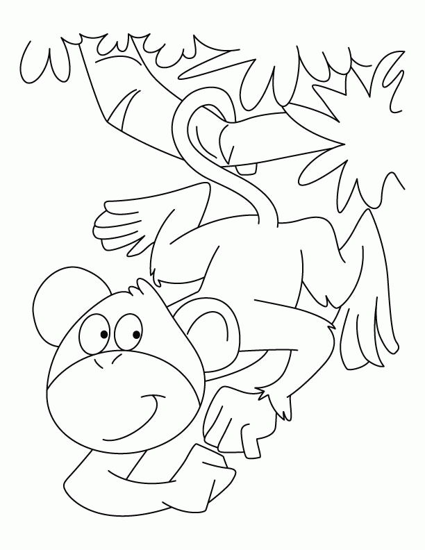 Spider Monkey Coloring Pages Download Free Spider Monkey 2014 