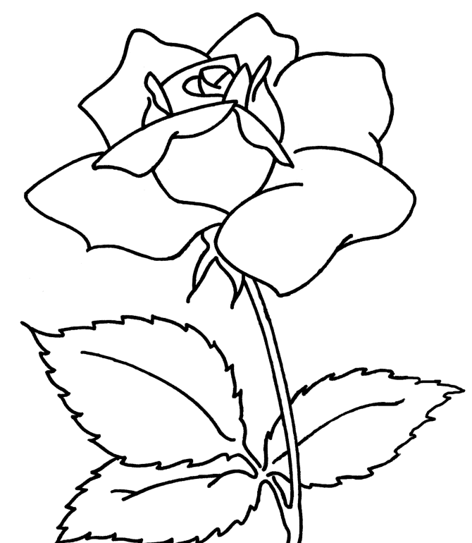 Download Rose Colouring Pages Children Or Print Rose Colouring 