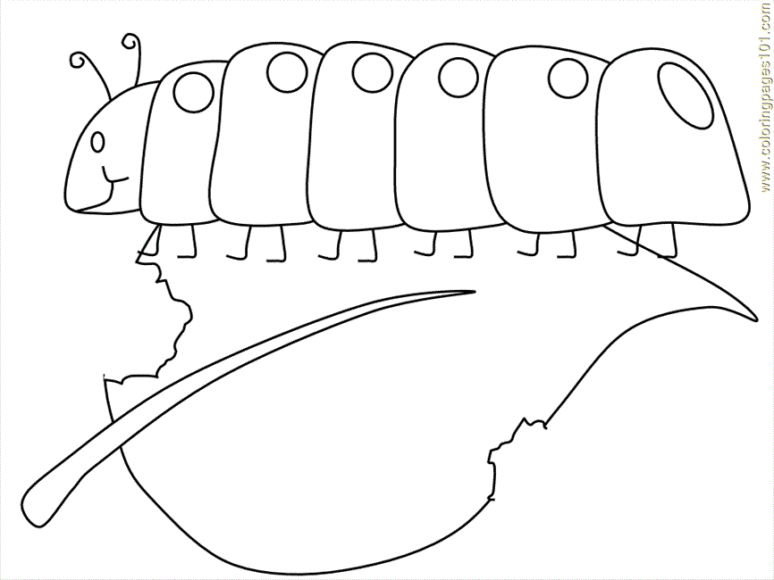 Coloring Pages Caterpillar (Insects > Caterpillar) - free 
