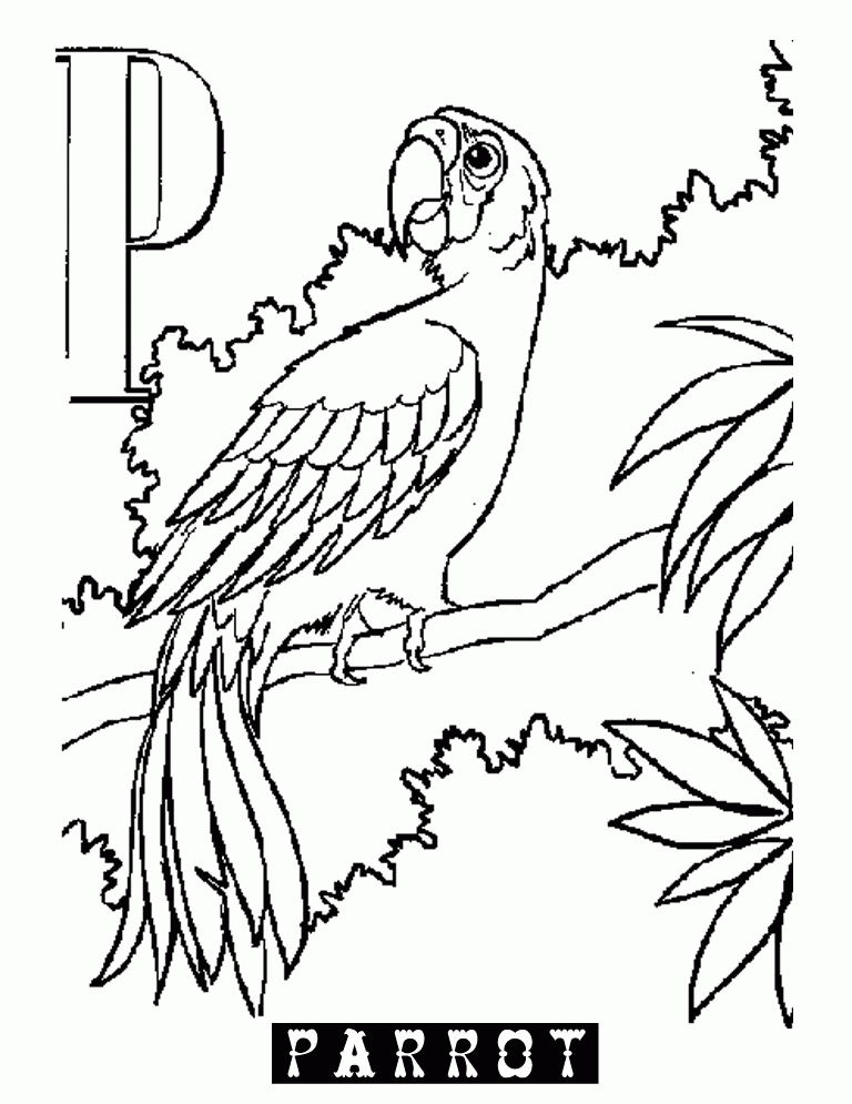 Animal Alphabet P Parrot :Kids Coloring Pages | Printable Coloring 