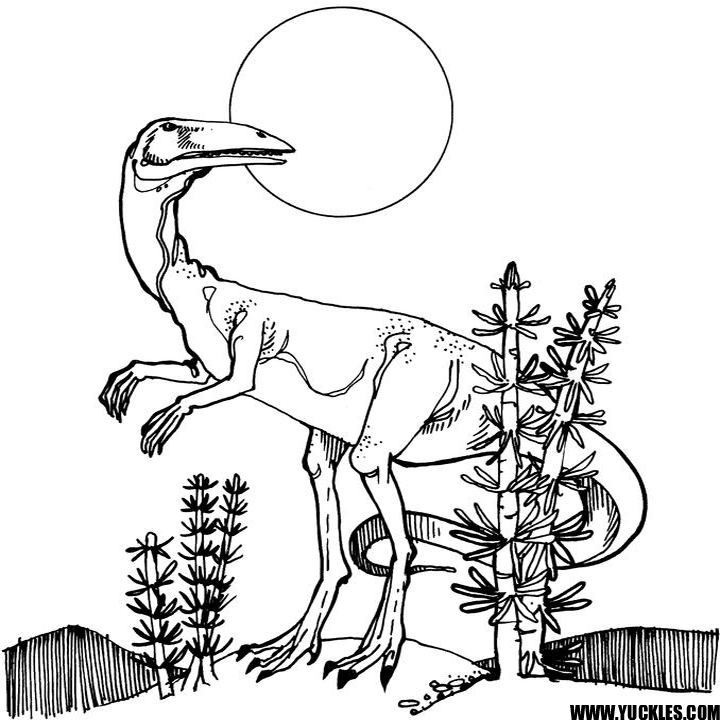 Coelophysis Coloring Page by YUCKLES!