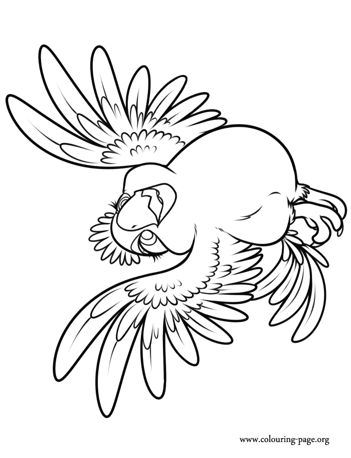 rio 2 blu Colouring Pages