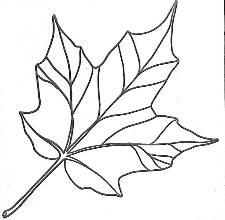 Maple leaf template | Scrapbooking and Paper Crafts
