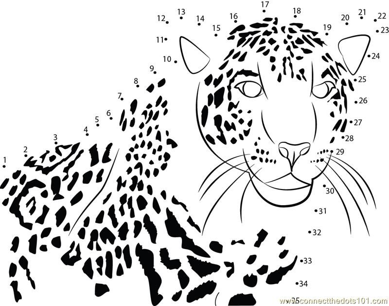 Connect the Dots Fast Runner Cheetah (Animals > Cheetah) - dot to 