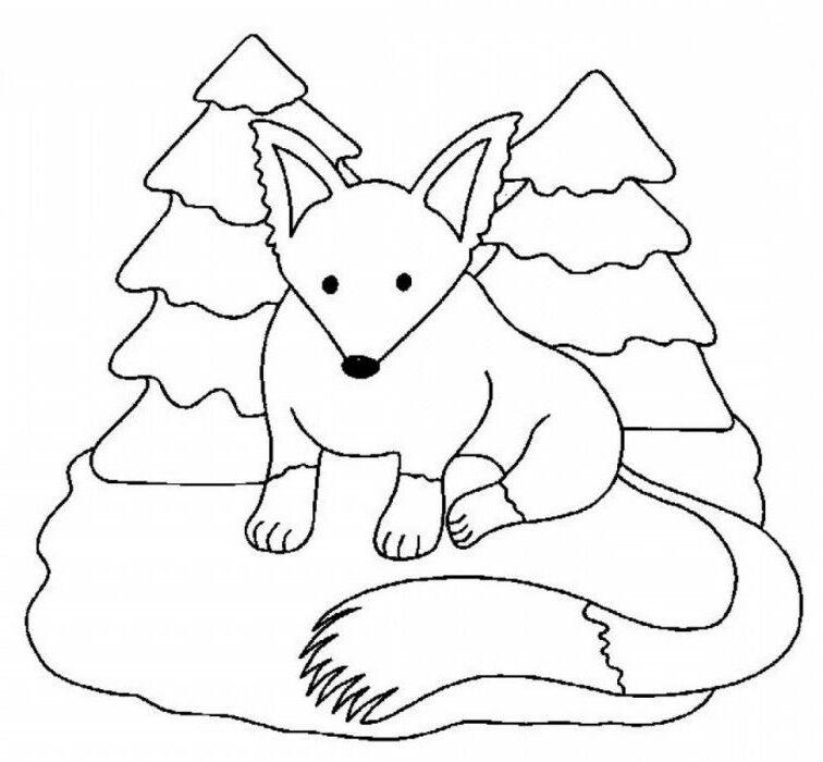 Girl Fox Coloring Pages