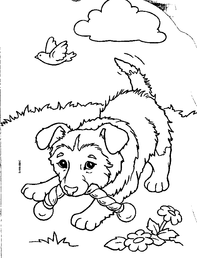 Puppy 5 Puppies Coloring Pages