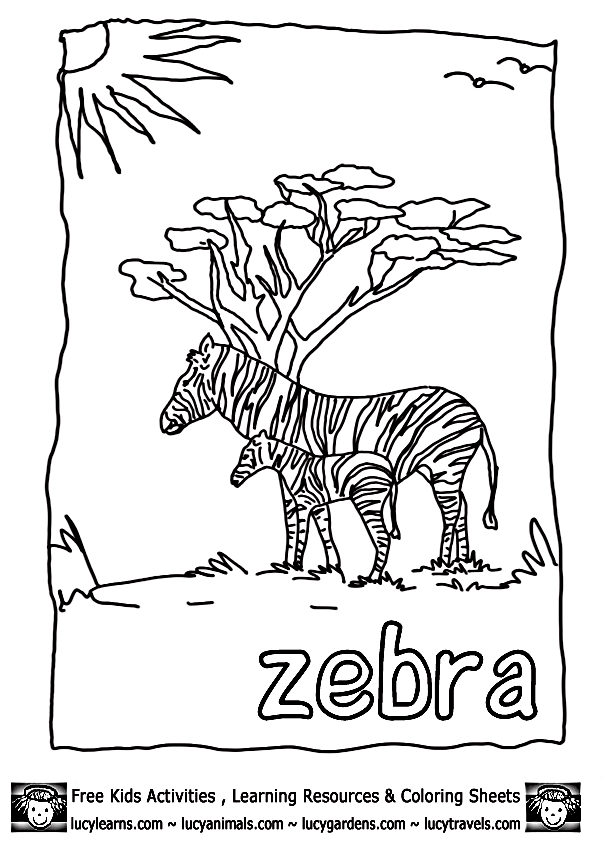 Zebra Coloring Sheets By Lucy Learns