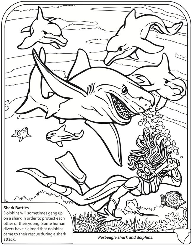 Ocean Biome Coloring Pages - Category