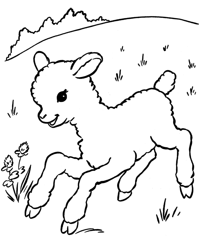 Cute Animal Sheeps Coloring Pages