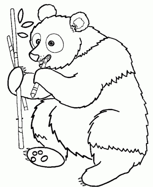 Download Free Printable Animal Coloring Pages Panda Eating Bamboo 