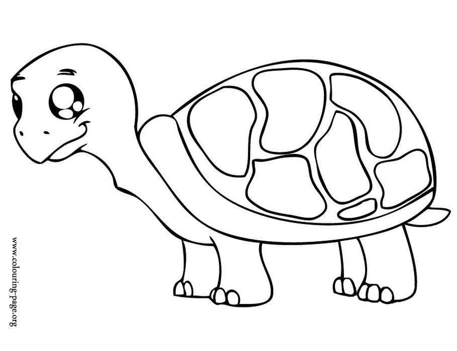 Cute Baby Tortoise Coloring Page