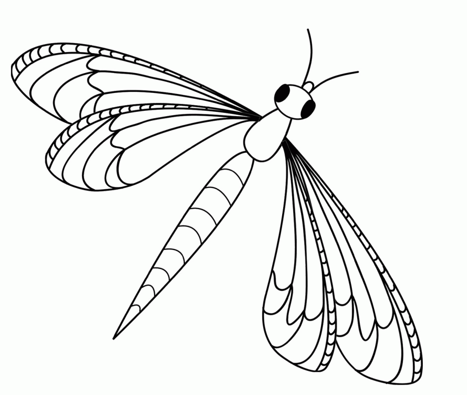 Dragonfly Coloring Page Id 23604 Uncategorized Yoand 187777 
