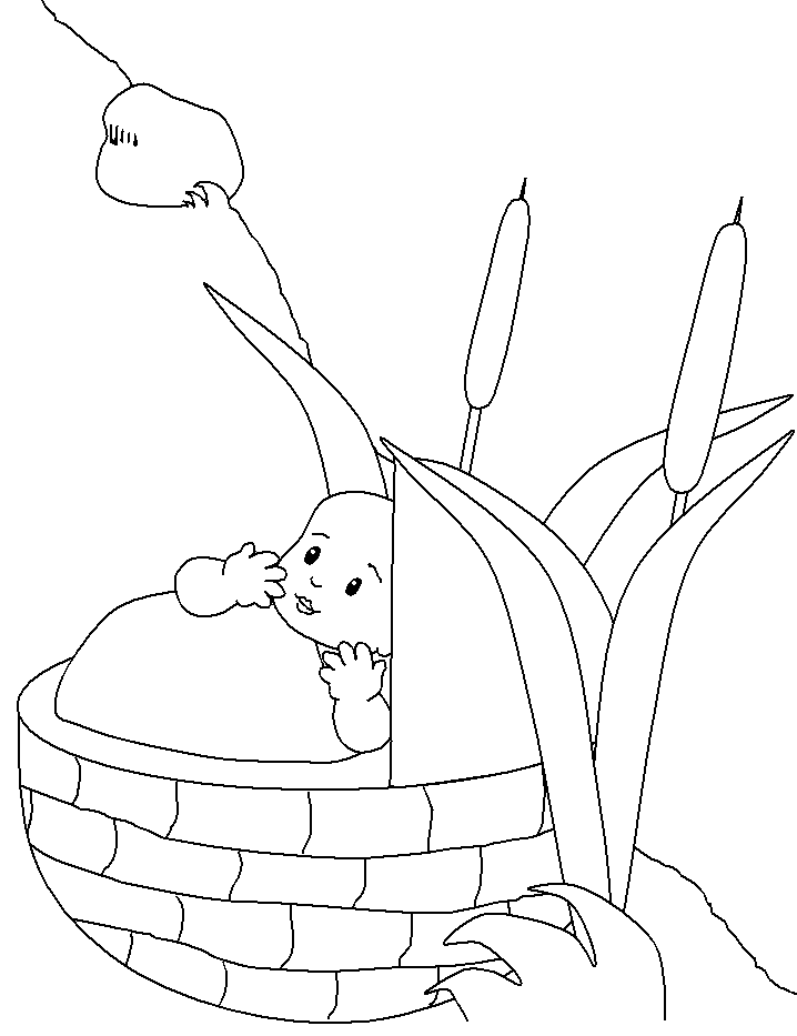 Download Baby Moses Was Very Packed And Funny Coloring Page Or 