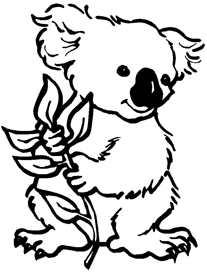 koala coloring book pages to print and color