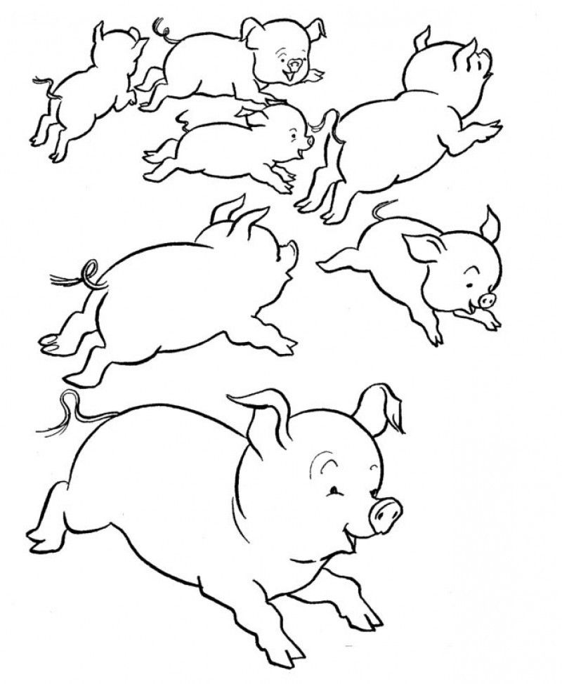 Runaway Pig Coloring For Kids - Kids Colouring Pages