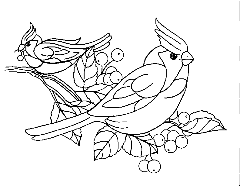 Bird Coloring Pages | Coloring Kids