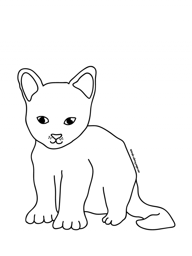 Anime Pet Colouring Pages Page Id 84538 Uncategorized Yoand 97731 