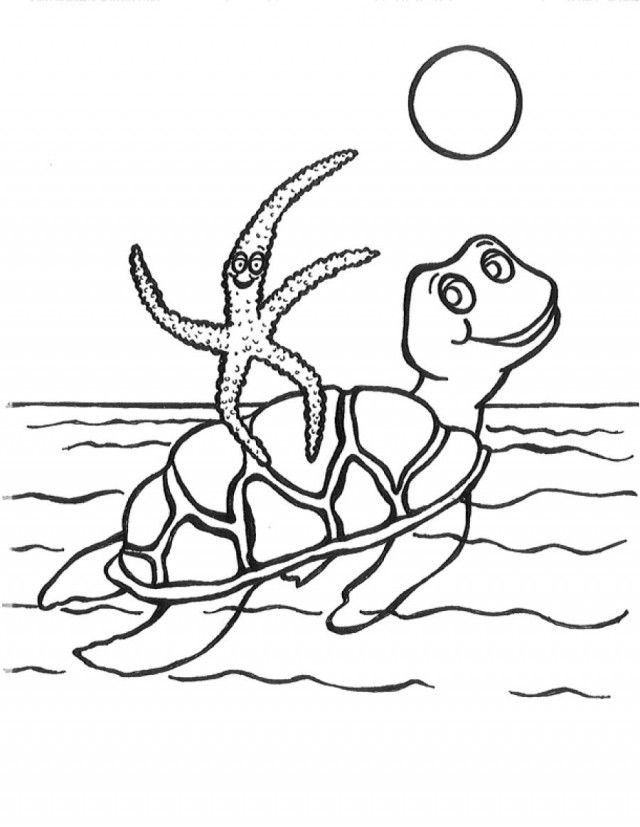Swimming Turtle Coloring Pages Printable Coloring Sheet 99Coloring 