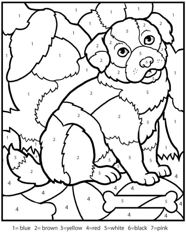 Number Of Coloring The Dog Free On Page | The Coloring Pages
